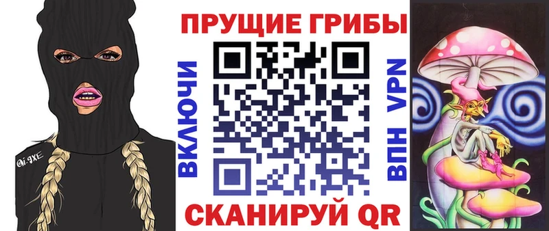 Псилоцибиновые грибы MAGIC MUSHROOMS Лермонтов