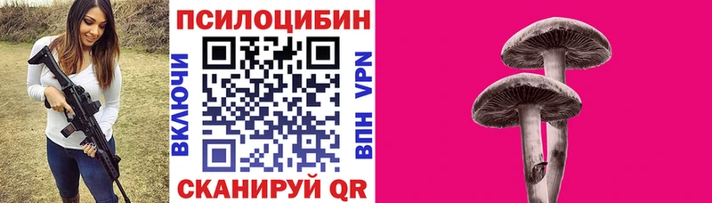 Псилоцибиновые грибы мухоморы  Лермонтов 